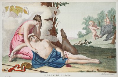 Tod des Adonis oder Morte di Adone, Buch X, Illustration aus Ovids Metamorphosen, Florenz, 1832 von Luigi Ademollo